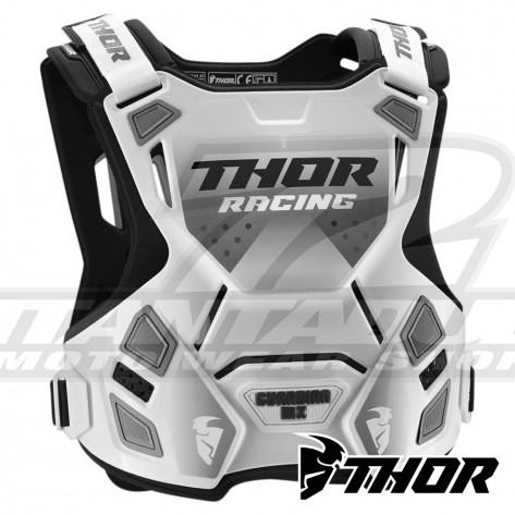 Alpinestars Protezione TRACK VEST 2