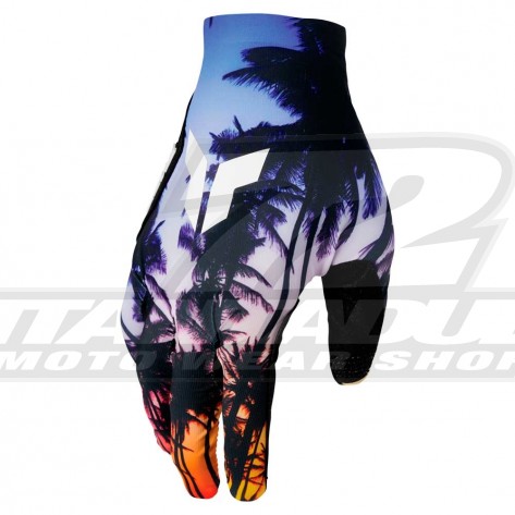 Alpinestars Guanto AVIATOR 2017