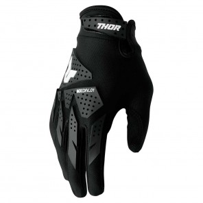 Alpinestars Guanto AVIATOR 2017