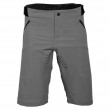 Thor INTENSE ASSIST MTB Shorts - Grey - Online Sale